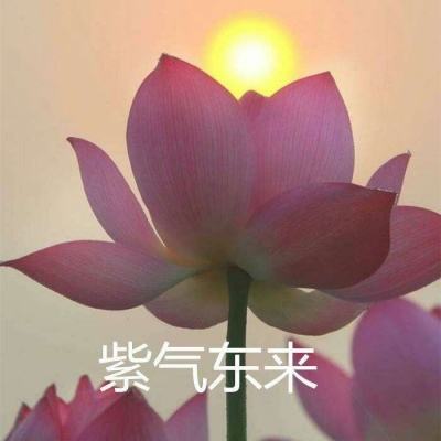 老板钱生钱游戏下载